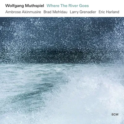 Obrázek produktu pro Wolfgang Muthspiel: (CD / W)