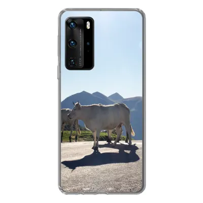 Produktbild von MuchoWow® Handyhülle Schutzhülle Hülle für Huawei P40 Pro Schottische Highlander - Licht - Berge - Natur Silikon Softcase Handy Hülle - Schutz