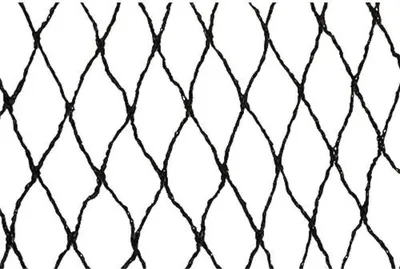 Produktbild von PROREGAL Vogelschutznetz, Gartennetz 12x25m, Auge 25mm