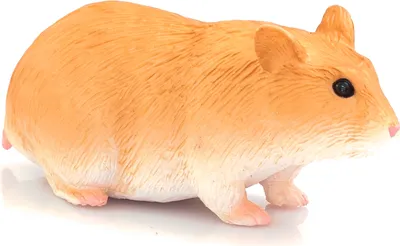 Immagine prodotto di Mojo 387236 Animal Planet Criceto circa 6 x 2 x 2,5 cm