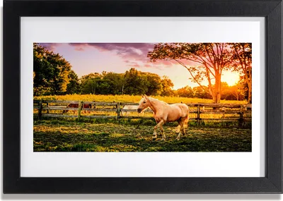 Produktbild von Bild 30x20 MDF-Rahmen Wandkunst Pferd Wiese Natur Tiere