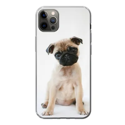 Produktbild von MuchoWow® Handyhülle Schutzhülle Hülle für iPhone 12 Pro Max Hund - Haustiere - Porträt Silikon Softcase Handy Hülle - Hartschale