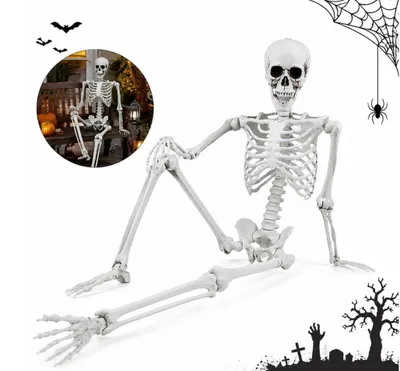 Immagine prodotto di Modello anatomico dello scheletro umano, altezza 170 cm, decorazione per Halloween