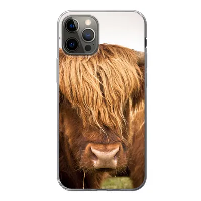 Produktbild von MuchoWow® Handyhülle Schutzhülle Hülle für iPhone 13 Pro Schottische Highlander - Braun - Gras Silikon Softcase Handy Hülle - Handy-Tasche