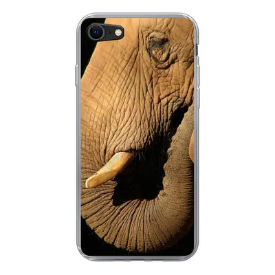 Produktbild von MuchoWow® Handyhülle Schutzhülle Hülle für iPhone 8 Elefant - Tiere - Nahaufnahme - Schwarz Silikon Softcase Handy Hülle - Schutzhaube