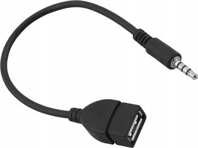 Immagine prodotto di Adattatore AUX mini jack 3,5 mm Adattatore USB-A Nero Carica e trasferisci