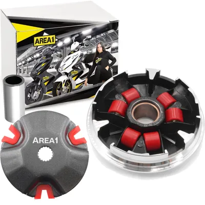 Image de Variateur Area1 pour scooters 50 cm3 2 temps de ATU Explorer AGM Nova Motors GT Union Longija Mawi RS Ultima Ride Sprint Tauris Benero TNG MuZ