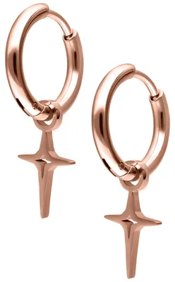 Produktbild von Wildcat Ohrringe - Mini Polar Star Hoops Pair aus Chirurgenstahl 316L, Körperstelle: Ohr, Onesize, Roségold