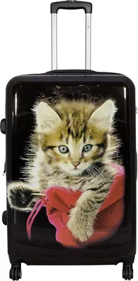 Produktbild von Mittlerer Reisekoffer 80 Li hübsche Katze Tiermotiv Koffer 67 cm Schwarz Bowatex