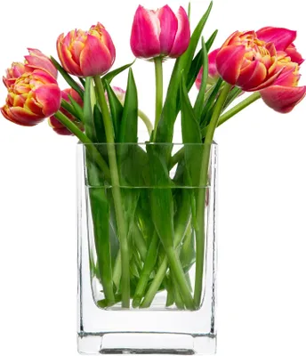 Produktbild von Blumenvase Dekovase Glasvase HOMLA