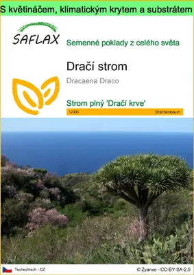 Obrázek produktu pro SAFLAX Garden to go - dračí strom - Dracaena Draco - 5 Semena - S květináčem, klimatickou poklicí a pěstebním substrátem