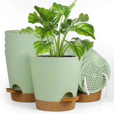 Zdjęcie produktu dla Zestaw 6 doniczek samonawadniających, zielonych, o wymiarach 17,8 cm, z podstawkami