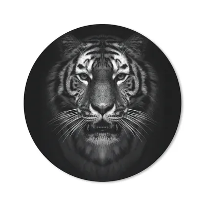 Produktbild von MuchoWow® Mauspad Mousepad Tiger - Tiere - Schwarz - Weiß - Porträt - Wild 20x20 cm - Mousepads - Maus Mat - Pad - Mausunterlage - Schreibtischmatte