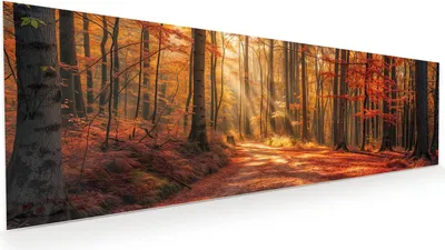 Produktbild von Glasbild 120x40cm in XXL für Wohnzimmer, Schlafzimmer Motiv Herbstlicher Waldweg