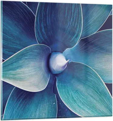 Produktbild von Bilder auf glas - Einteilig - Agave Blau Blume - 70x70cm - Glasbilder - Wandbilder - Bilder - zum Aufhängen bereit - Wanddekoration aus Glas - Glas Bilder - Wandbild auf Glas - GAC70x70-4972