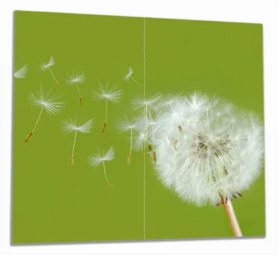 Produktbild von Wallario Herdabdeckplatte aus Glas, Größe 60 x 52 cm 2-teilig, Motiv Pusteblume auf der Wiese mit fliegenden Samen