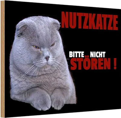 Produktbild von vianmo Holzschild 20x30 cm Nutzkatze bitte nicht stören schwarz Tier Haustier