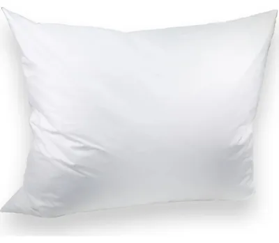 Productafbeelding van Premium donskussen, 70x90 cm, 1100 gram, wit