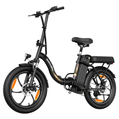 Productafbeelding van Klappbare elektrische fiets C16, geschikt voor terrein, 20 inch, 250W, 48V 16Ah, maximaal draagvermogen 120 kg, dubbele schijfremmen, zwart