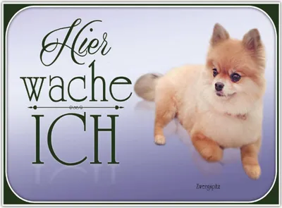Produktbild von vianmo Holzschild 30x40 cm Hund Zwergspitz hier wache ich
