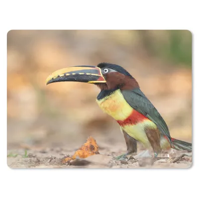 Produktbild von MuchoWow® Mauspad Mousepad Vogel - Tukan - Federn - Natur 40x30 cm - Mousepads - Maus Mat - Pad - Mausunterlage - Anti Rutsch