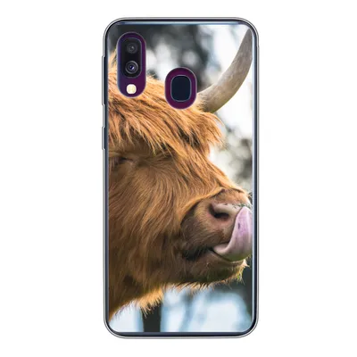 Produktbild von MuchoWow® Handyhülle Schutzhülle Hülle für Samsung Galaxy A40 Schottischer Highlander - Nase - Baum Silikon Softcase Handy Hülle - Handy-Tasche