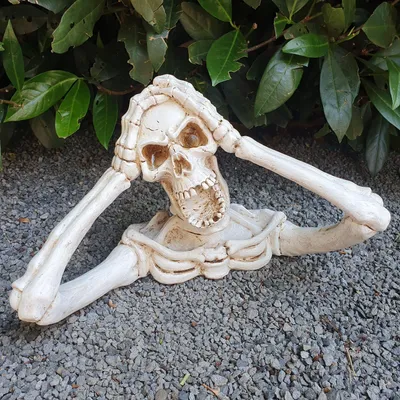 Immagine prodotto di Statua da giardino Teschio Scheletro con le mani sulla testa 18 cm