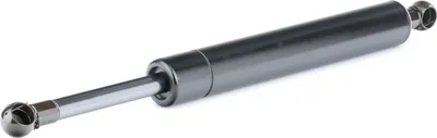 Produktbild von RIDEX 219G0806 Gasfeder Heckklappendämpfer passend für MERCEDES-BENZ R-Klasse (W251, V251) 312,5mm