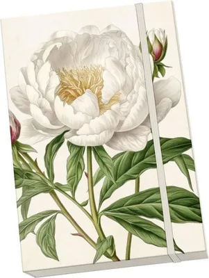 Image de Carnet Peonies & Roses