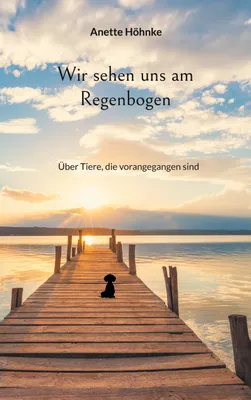 Produktbild von Wir sehen uns am Regenbogen