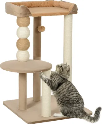 A cat is playing on a cat tree.