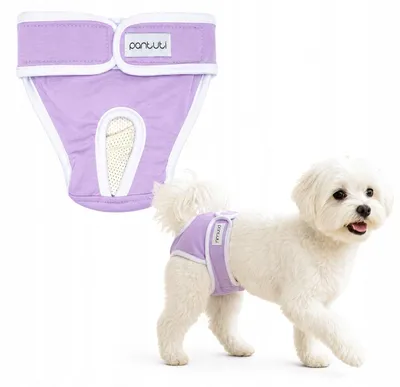 Produktbild von PANTUTI NATALA Hündinnenhöschen Läufigkeitsschutz wiederverwendbar 3XL
