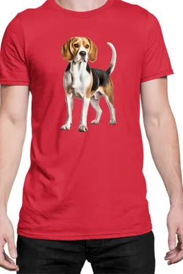 Immagine prodotto di Maglietta da uomo Dogs Breeds Beagle Dog Breed 007, Man M , Rouge