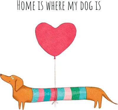 Produktbild von 20 Servietten Dog Home - Zuhause bei meinem Dackel 33x33cm