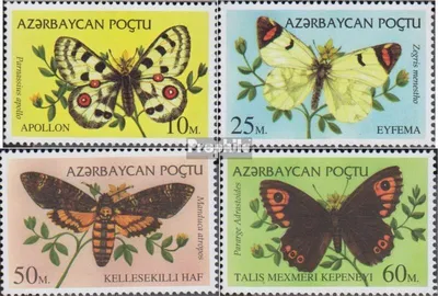 Produktbild von Briefmarken Aserbaidschan 1995 Mi 195-198 (kompl.Ausg.) postfrisch Schmetterlinge