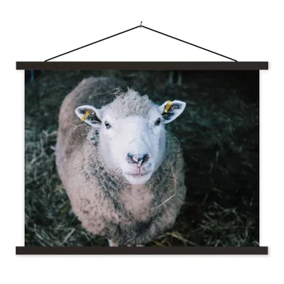 Produktbild von MuchoWow® Textilposter Schafe - Tiere - Rinder 150x113 cm mit holzfarbenen Rahmen - Poster