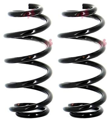 Immagine prodotto di Molla Sospensione Bmw Posteriore Serie 2 15-
