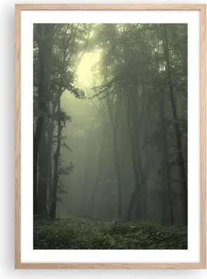 Produktbild von Gerahmtes Poster - Rahmen in heller Eiche - Wald Nebel Baum - 50x70 cm - Wand Bild - Wanddeko - Wandbilder - Kunstposter - Wandposter - Bilderrahmen - Bilder - Kunstdruck - Wandbild - P2NPA50x70-3543