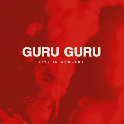 Produktbild von Live in Concert (2CD +DVD)