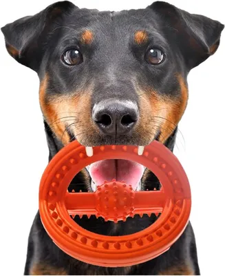 Immagine prodotto di HappyPet Palla con cornice - palla di gomma happypet