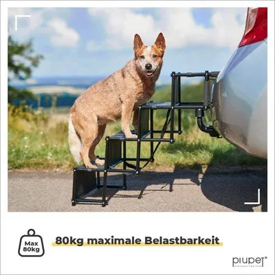 Produktbild von Famanu Hundetreppe für Kofferraum - Höhenverstellbar, 80 kg Tragkraft - 43,5 x 49 x 16 cm