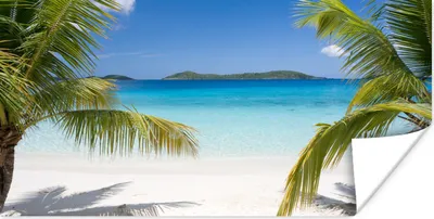 Produktbild von MuchoWow® Poster Tropische Palmen am Strand 40x20 cm - Poster für die Wand - Poster Schlafzimmer