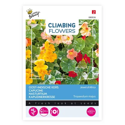 Obrázek produktu pro Nasturtium Jewel of Africa | Semena Nasturtium od Buzzy Seeds