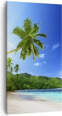 Produktbild von Bild auf Leinwand - Leinwandbild - Baum Dschungel Welle Landschaft - 55x100cm - Wand Bild - Wanddeko - Leinwanddruck - Bilder - Kunstdruck - Leinwand bilder - Wandkunst - PA55x100-3169