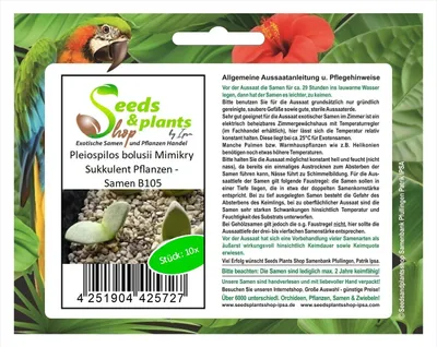 Produktbild von 10x Pleiospilos bolusii Mimikry Sukkulent Pflanzen - Samen B105