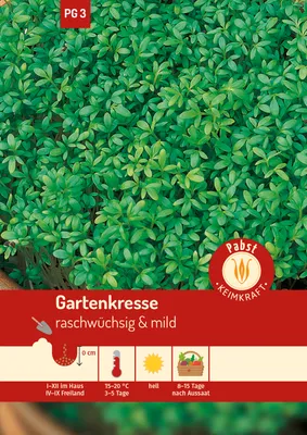 Produktbild von Gartenkresse Einfache | Kressesamen von Carl Pabst
