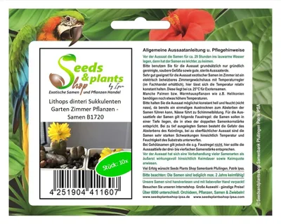 Produktbild von 10x Lithops dinteri Sukkulenten Garten Zimmer Pflanzen - Samen B1720
