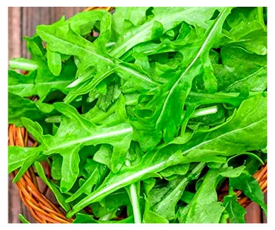 Produktbild von Salatsamen Gartenrauke - Rucola Portion