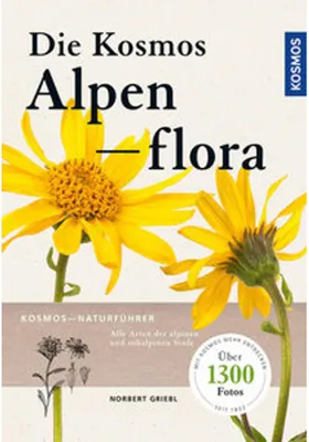 Image de Kosmos Alpenflora