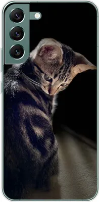 Produktbild von König Design Hülle kompatibel mit Samsung Galaxy S22 Plus 5G Kunststoff Soft Handyhülle - Handy Case Junge Katze
